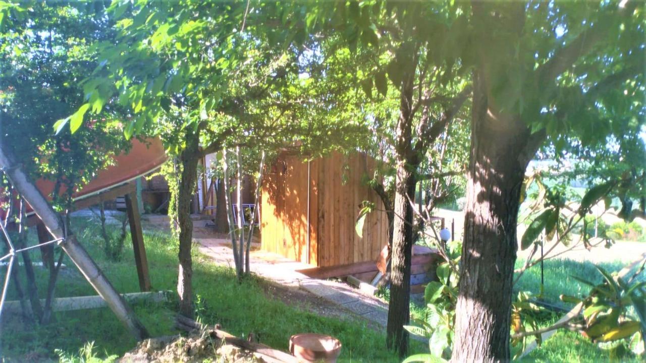 Civettina Chalet Senigallia